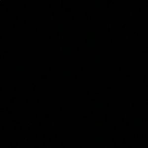 Meet your Posher, Pippy